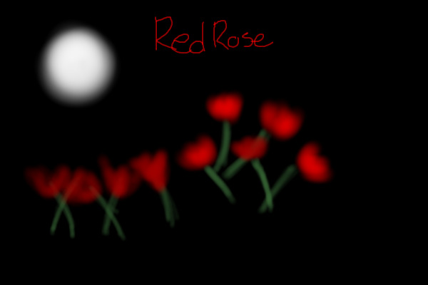 Red Rose