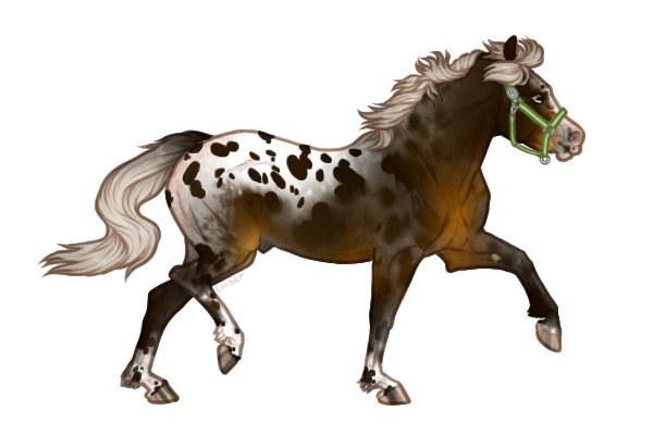Ferox Welsh Pony #742