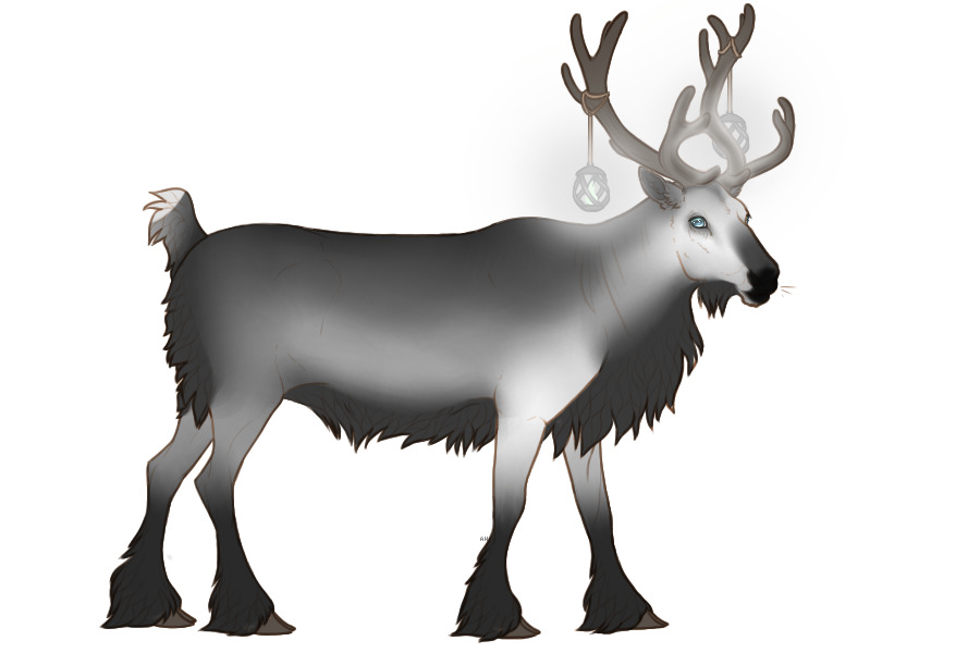 Baltic Reindeer #038