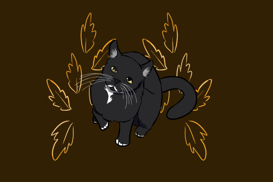 Black Cat October - Day 4