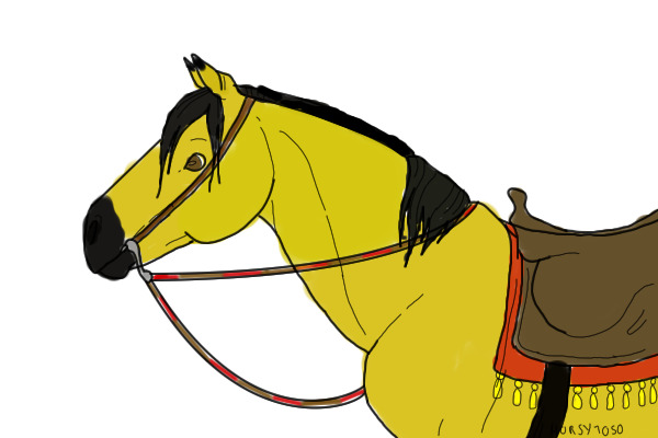 Buckskin pony