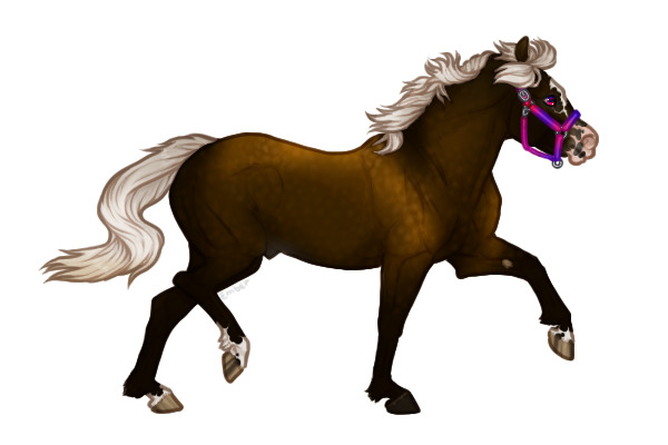 Ferox Welsh Pony #746