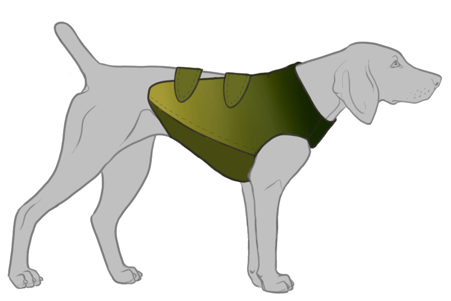 Carran Hound - Vest Entry #2