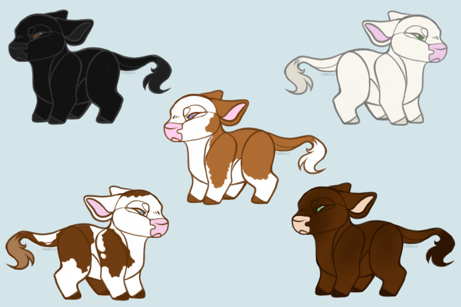 Cow adoptables for sale