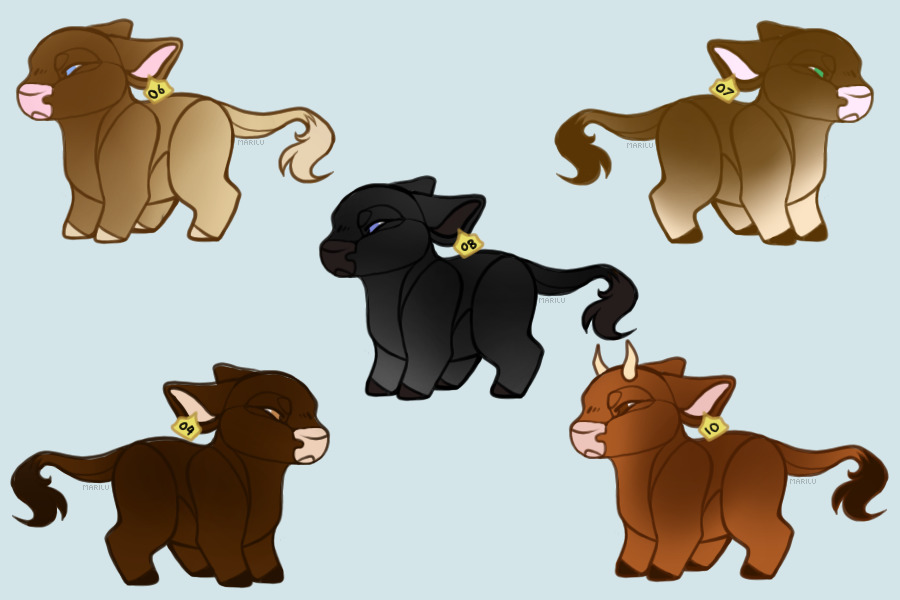 Cow adoptables for sale part 2