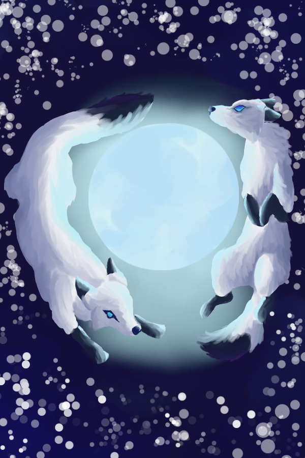 Moonlight foxes