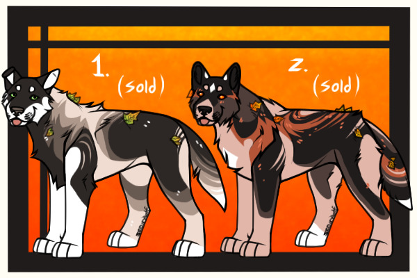 Fall Adopts | SOLD