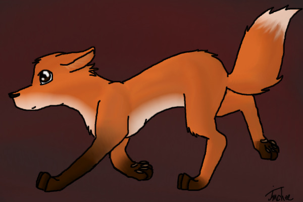 Random fox