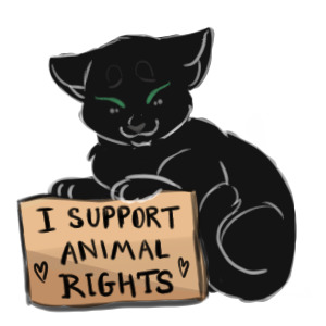 I support black cats