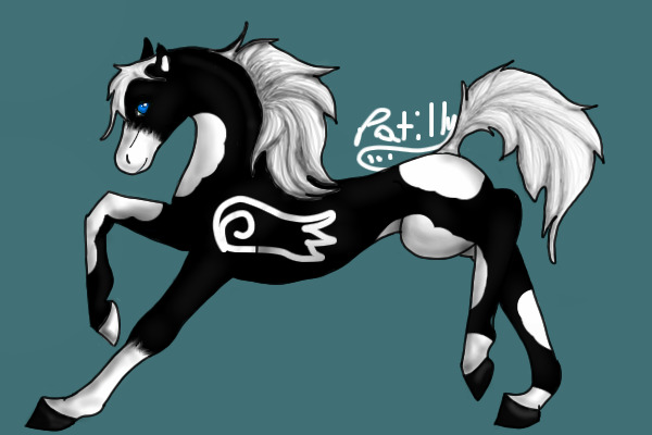 White Paint Mare