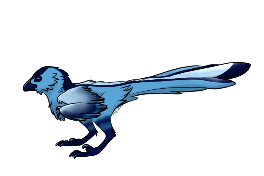 Standard Chimkin 175: Blue Dragon