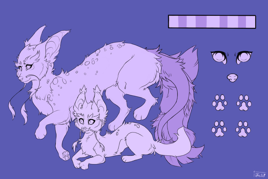 Contest Entry