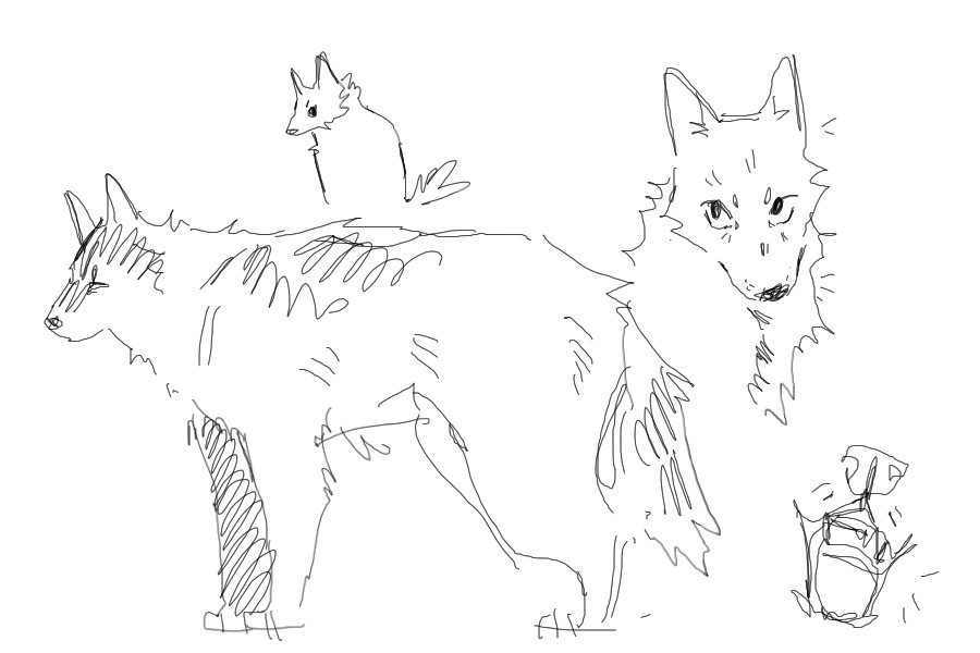 more dogs lol