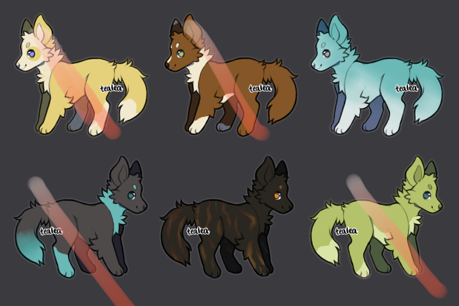 Pup Adopts (2/6 Available)