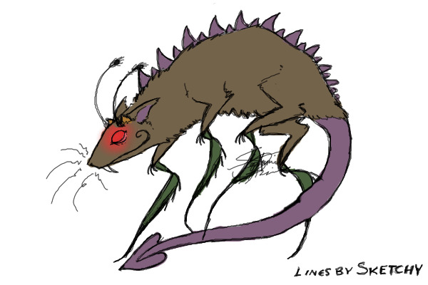 Rat