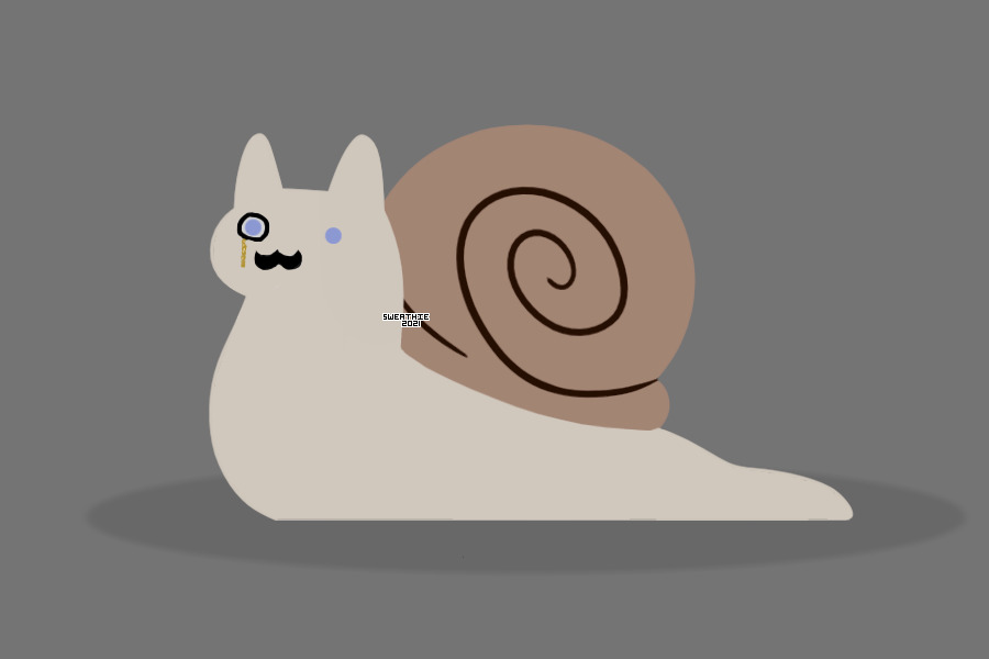 fancy snail