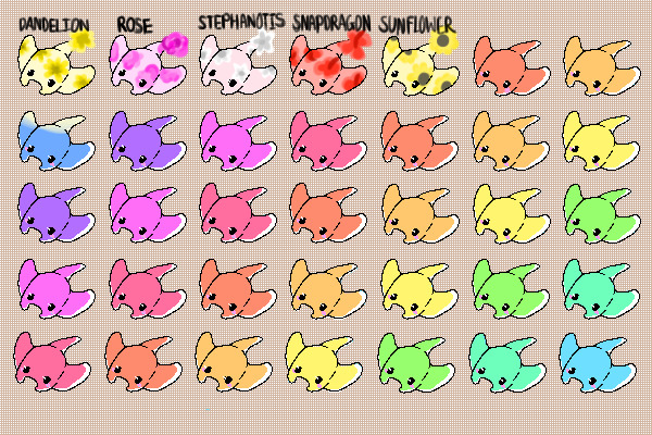 floral ray adopts