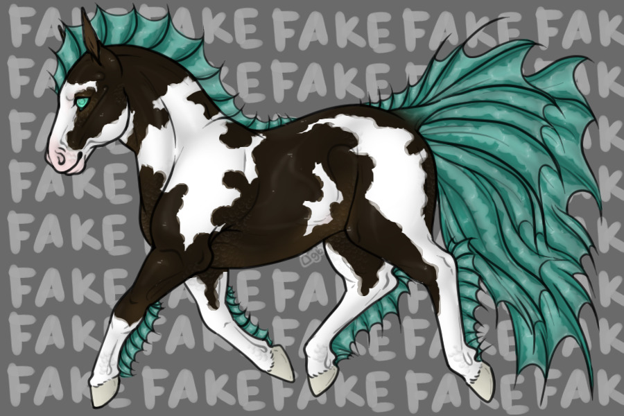 Entry #2 - Seal Brown Tovero