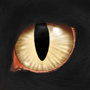 [Eye] see you~