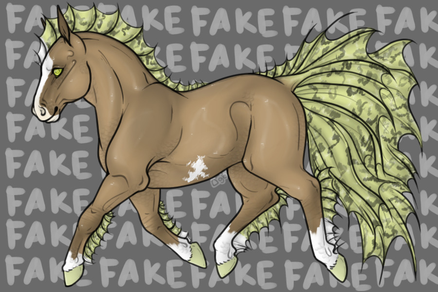 Entry #5 - Bay Dun Sabino