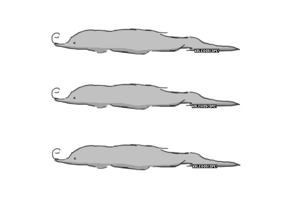 Worm on a String Editable