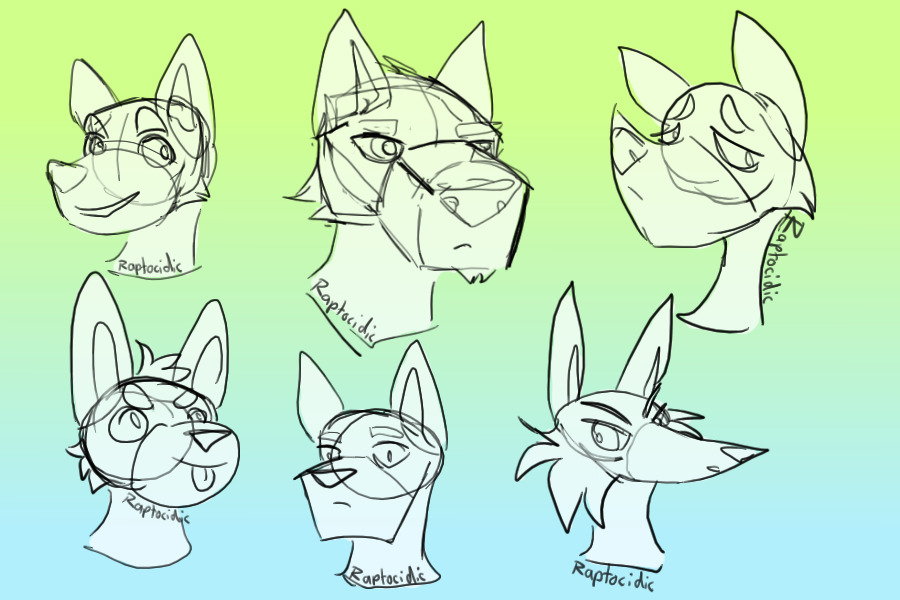 anthro head shapes