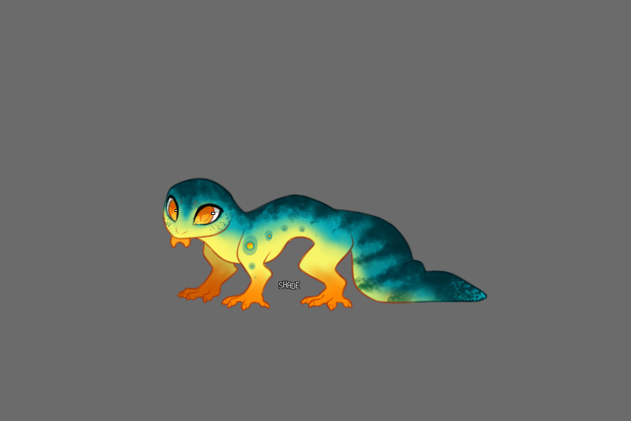 Gecko adopt (SOLD)
