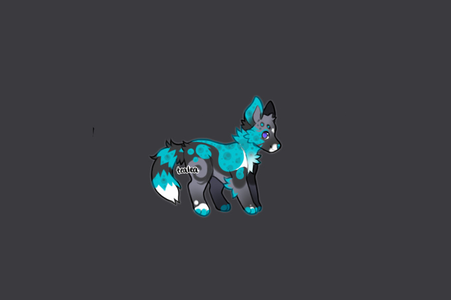 Pupper for kanari