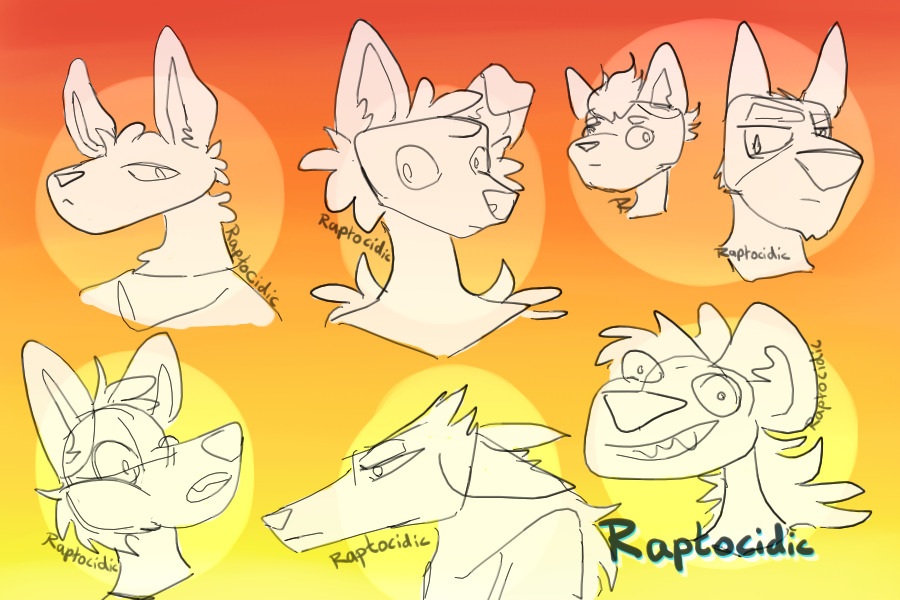 anthro head shapes 2