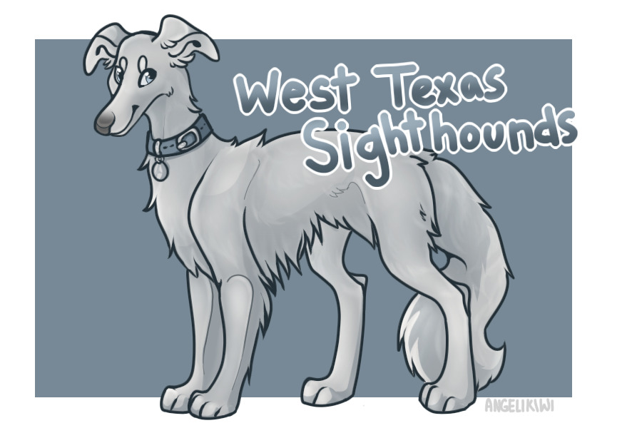 West Texas Sighthounds