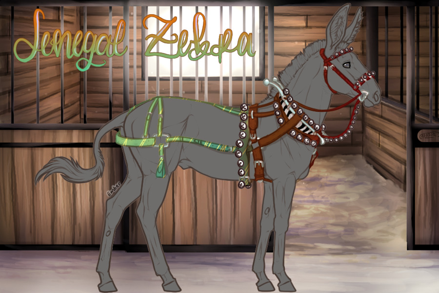 Senegal Event Harness