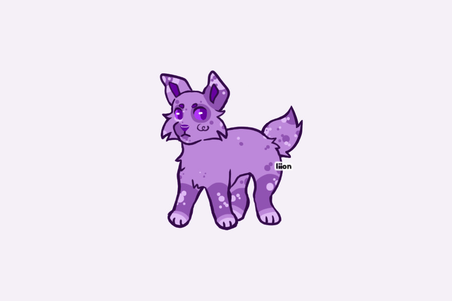 purple dawg