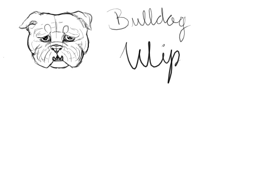 Bulldog Study