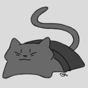 Simple cat under blanket
