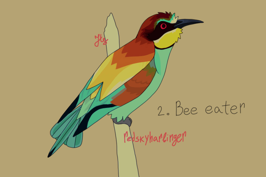 2. bee eater