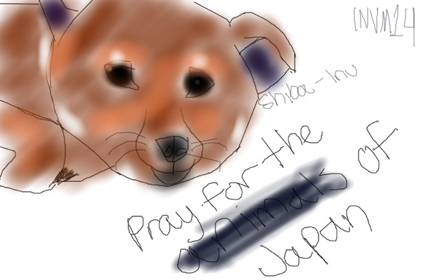 Shiba Inu - Pray For the Animals of Japan