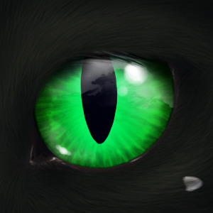 Cat eye