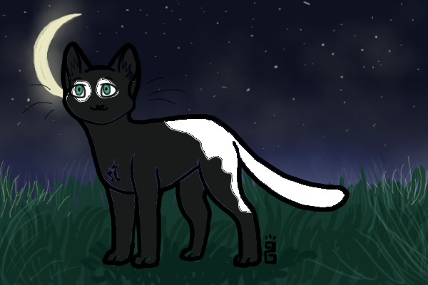 Colored in Warrior Cat