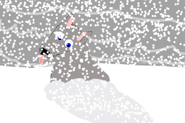 Wolf in a Snow storm