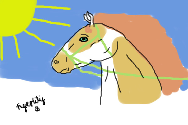 horse