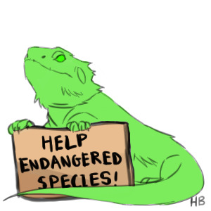 Help Endangered Species - Geckoe