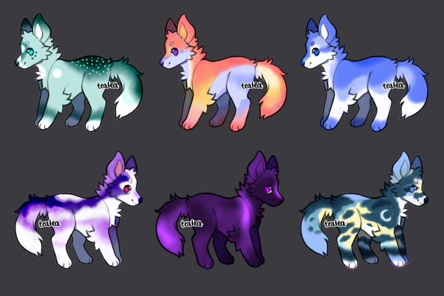 CLOSED CANINE ADOPTS 0/6