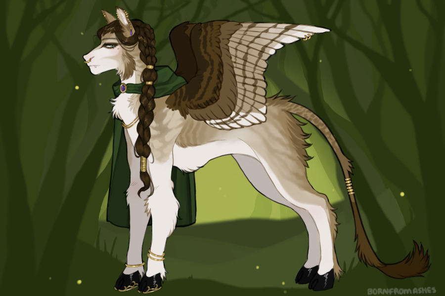 recompense for daioki