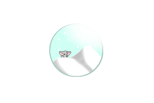 Why are you in a snowglobe?