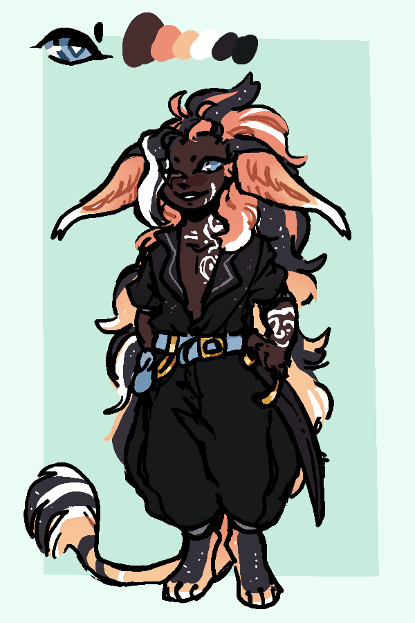 Cat pirate (?) closed