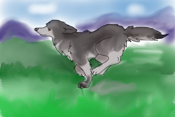 Wolf Running