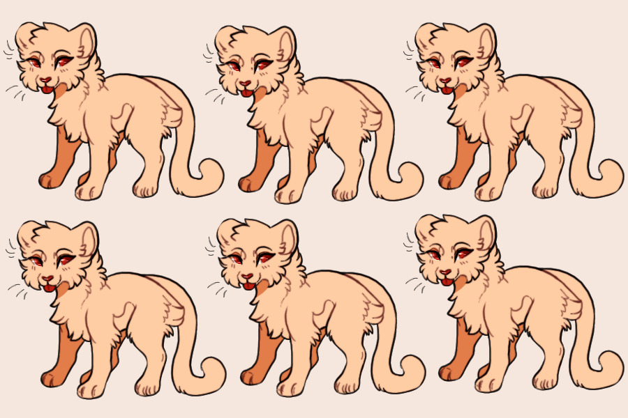 some catto lines