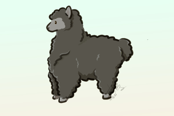 Alpaca Fluff
