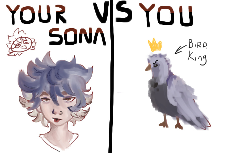 me vrs my sona