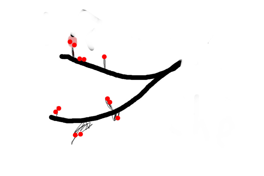 It's a cherry tree <3